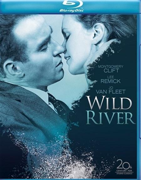 Wild River 1960 1080p BluRay x264 PSYCHD