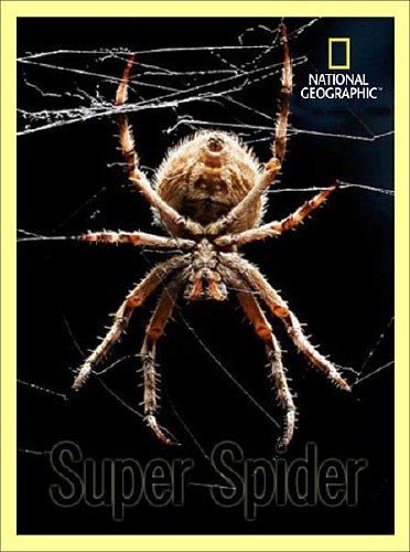   / Super Spider (2012) SATRip 