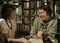 Подкидыш (Цветная версия) (1939 / DVDRip)