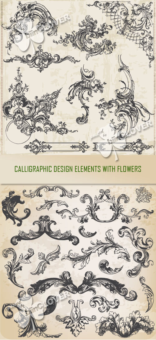 Calligraphic design elements with flowers 0356