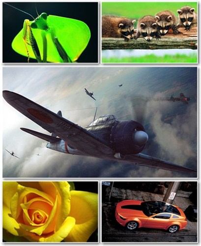 Best HD Wallpapers Pack 816