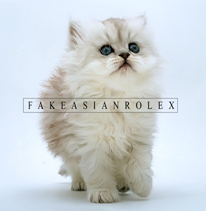 Fake Asian Rolex - 74K34514NR013X (ep) [2012]