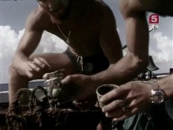 Подводная одиссея команды Кусто: Сокровища морей / Underwater Odyssey of a command of Cousteau (1969 / DVDRip)