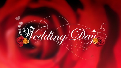 Istock video footage - Wedding day