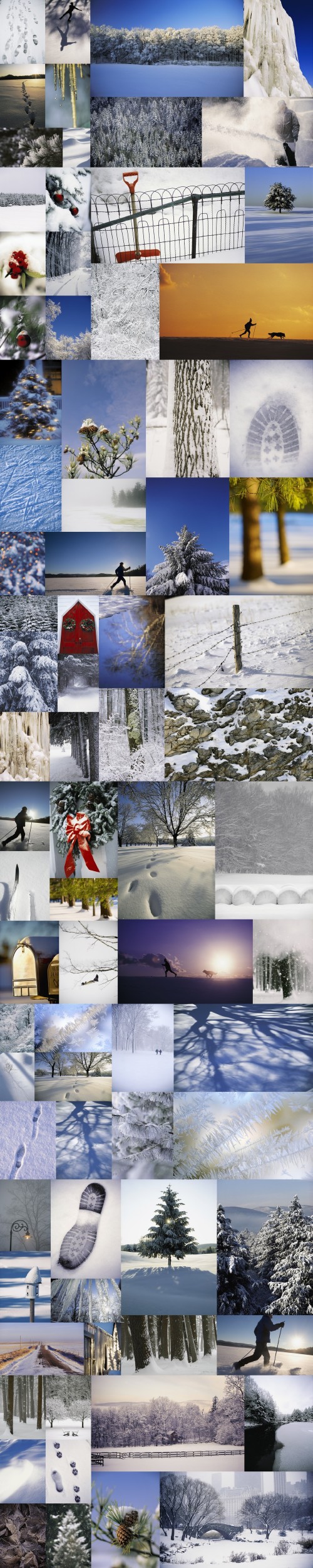 Stock Foto - Winter Scenery