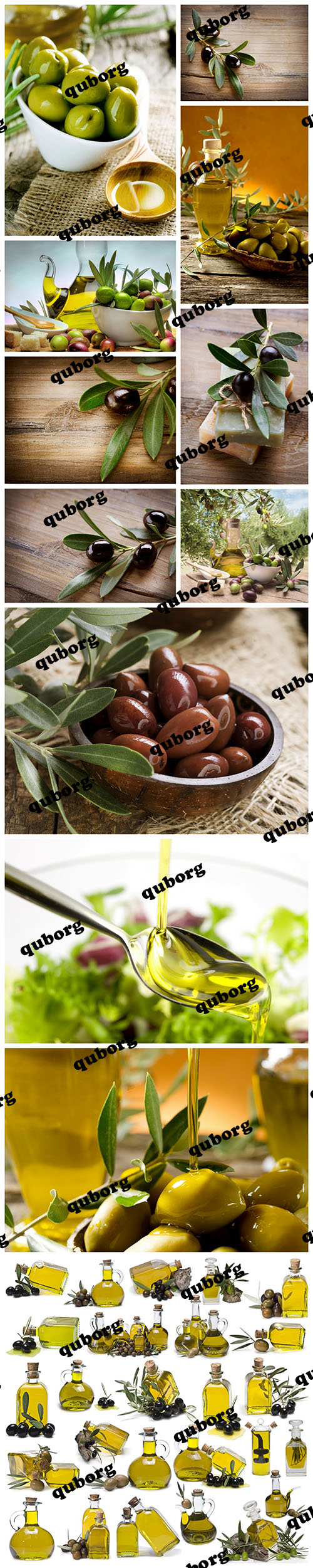 Stock Photos - Olives & Olive Oil
