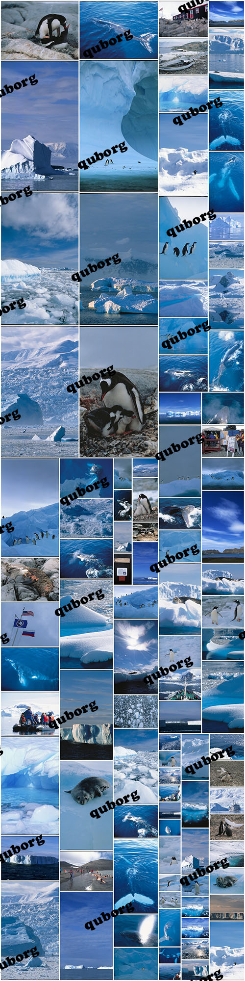 Stock Photos - Antarctica