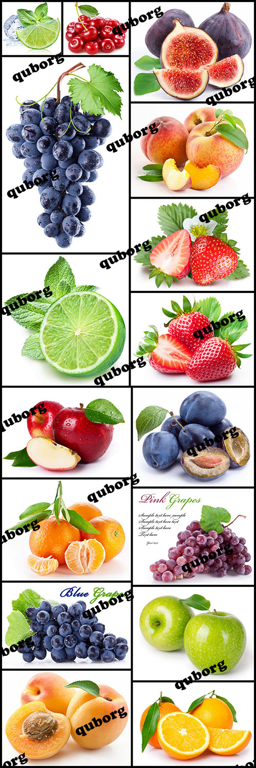 Stock Photos - Fresh Fruits