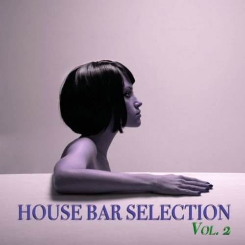 VA - House Bar Selection Vol 2 (2013)