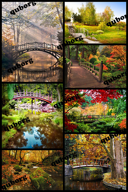 Stock Photos - Bridge in the Autumn Park