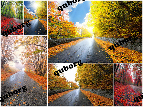 Stock Photos - Autumn Forest Road