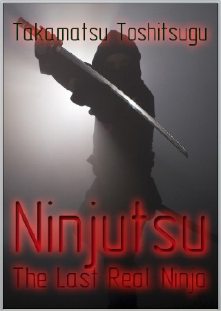 Ниндзюцу - последний настоящий ниндзя (1989) TVRip