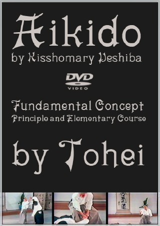 Айкидо Уэсиба + Элементарный курс по Тохей (2013) DVD5
