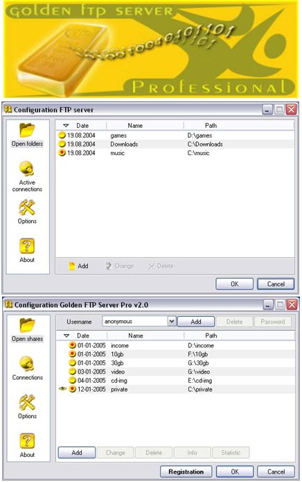 Download Golden FTP Server Pro v5.0 with crack