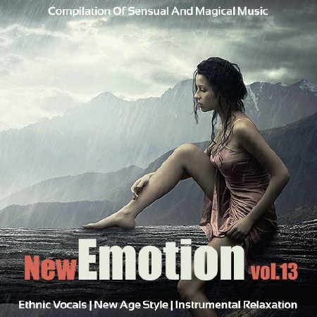 New Emotion Vol.13 (2013)