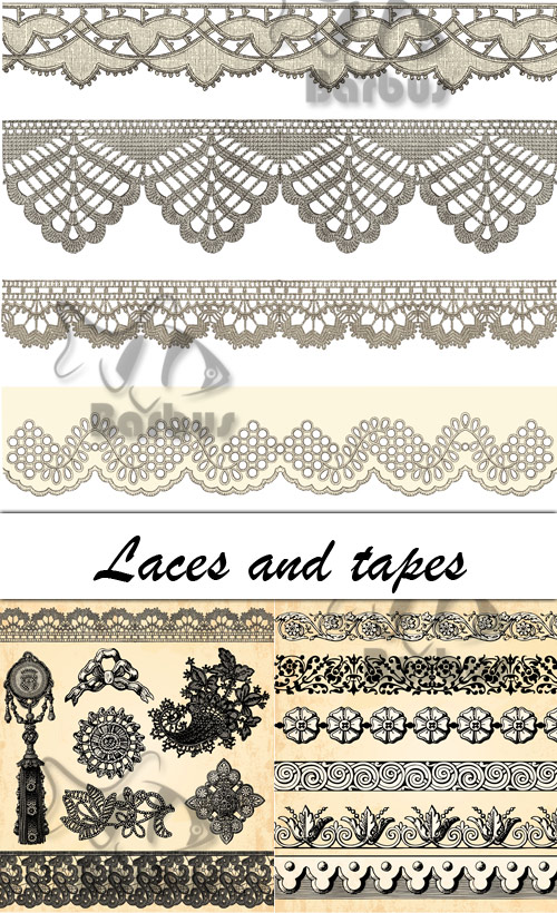 Laces and tapes /    - Vector