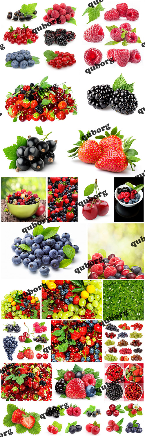 Stock Photos - Fresh Berries