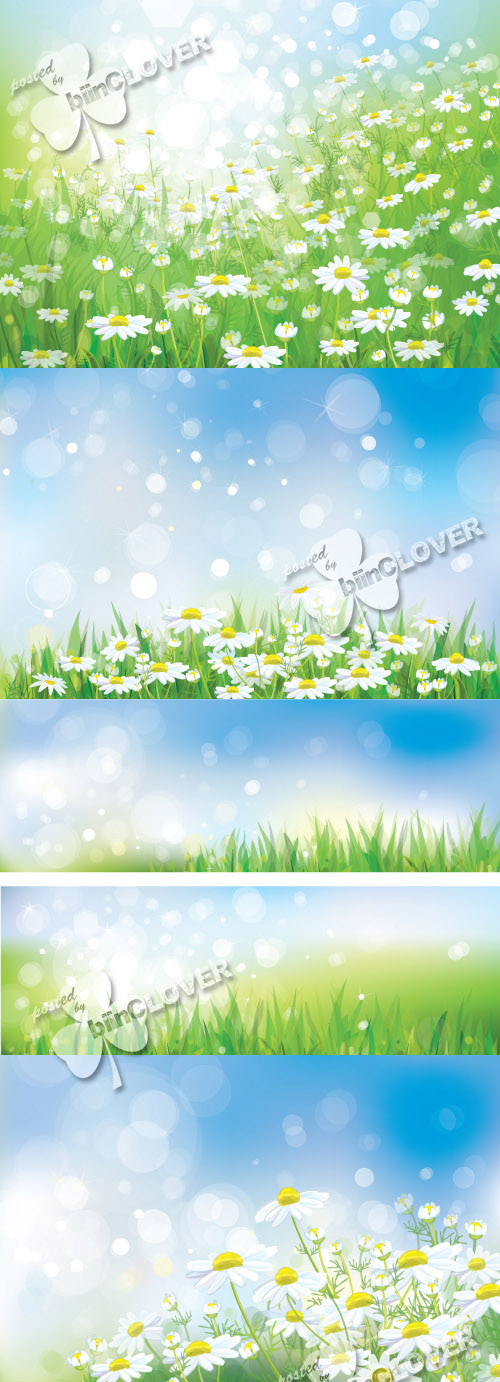 Summer or spring backgrounds and banners 0393