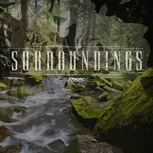Surroundings - Roses (Single) (2012)