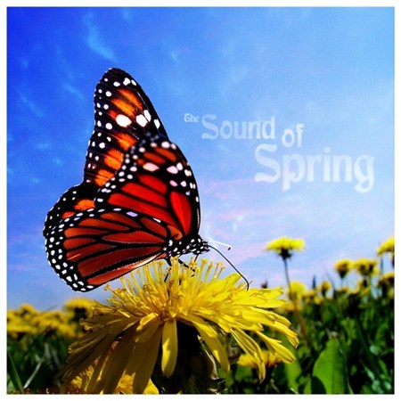 The Sound of Spring (2013)