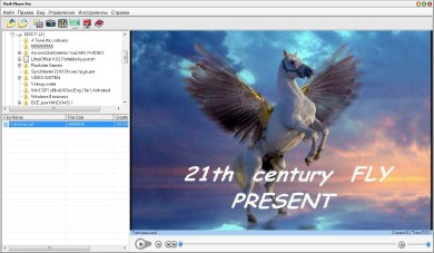 Flash Player Pro 5.5 Portable by KGS (2013/RUS)