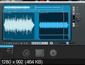 MAGIX Audio Cleaning Lab 2013 19.0.0.10 RUS (2013)