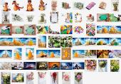 Shutterstock Mega Collection vol.5 - Misc
