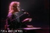 Jeff Healey - See The Light -1989 (2004) DVD5