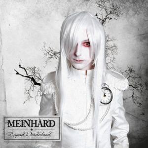 Meinhard - Beyond Wonderland (2013)